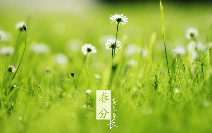 即便是春風十裏，依然不如你