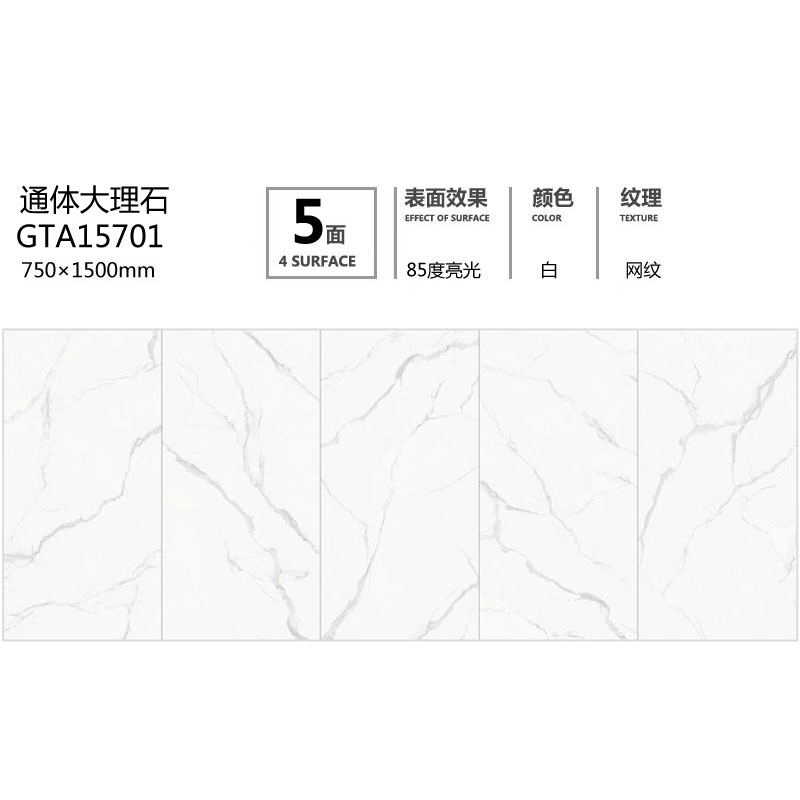 GTA15701定製