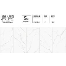 GTA15701定製